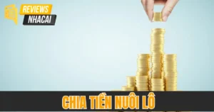 Chia Tiền Nuôi Lô