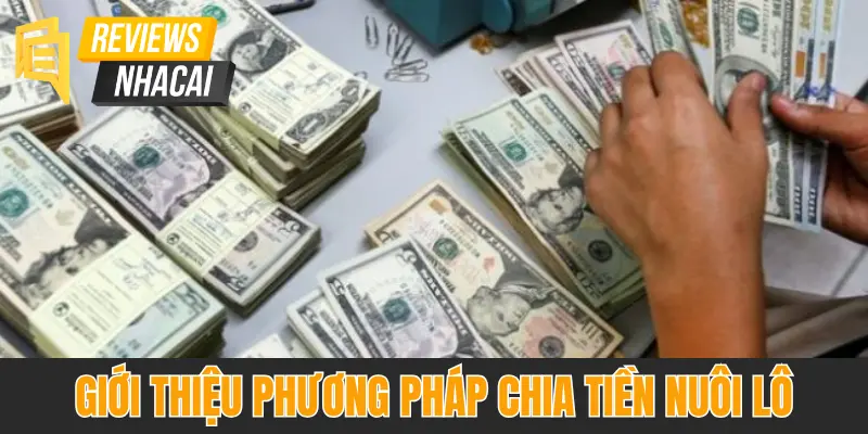 Chia tiền nuôi lô