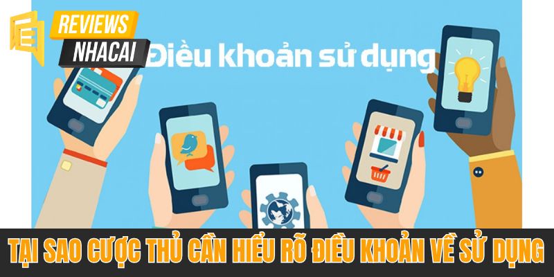 Điều khoản về sử dụng